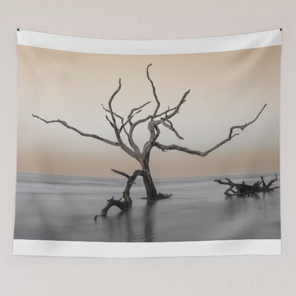 Item preview, Boneyard Beach 23/14 designed and sold by DiFigianoPhoto.