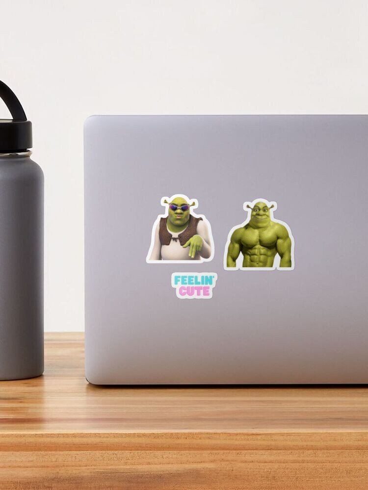 Shrek Meme Sticker Pack Sticker - Sticker Graphic - Auto, Wall, Laptop,  Cell, Truck Sticker for Windows, Cars, Trucks