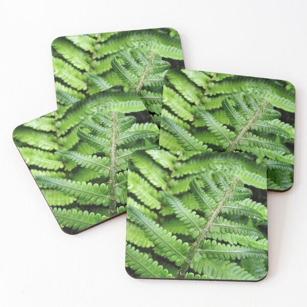 Item preview, Matteuccia orientalis II designed and sold by WesternExposure.