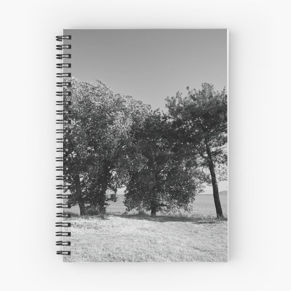 Item preview, Salty olives and pines bw designed and sold by Jouko Lehto Photography.