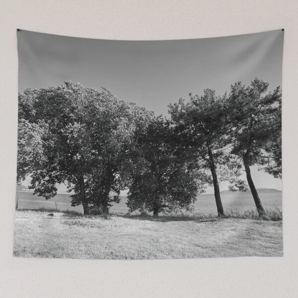 Item preview, Salty olives and pines bw designed and sold by Jouko Lehto Photography.