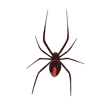 Artwork thumbnail, Redback Pattern by Cadva
