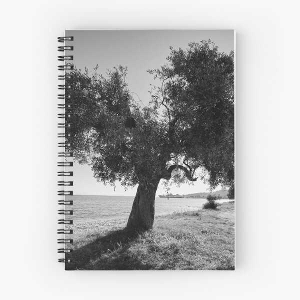 Item preview, Olive beach and sun bw designed and sold by Jouko Lehto Photography.