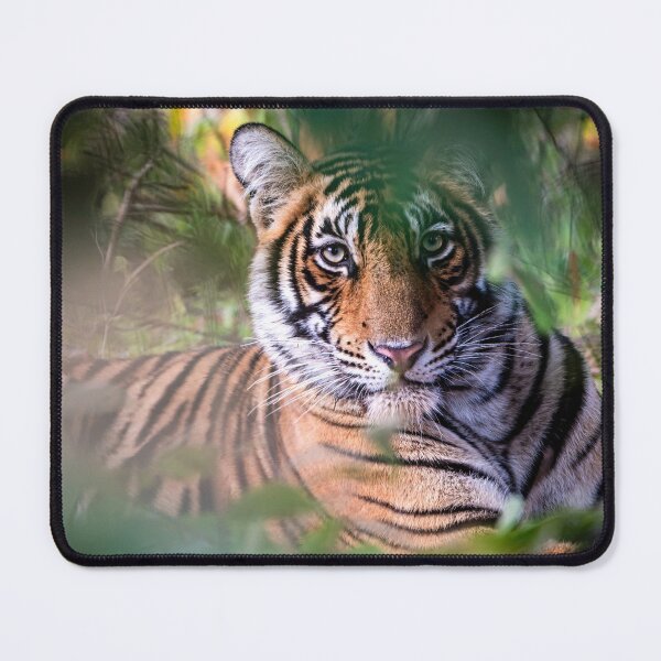 Item preview, Tiger in the bush designed and sold by Pravine Chester.