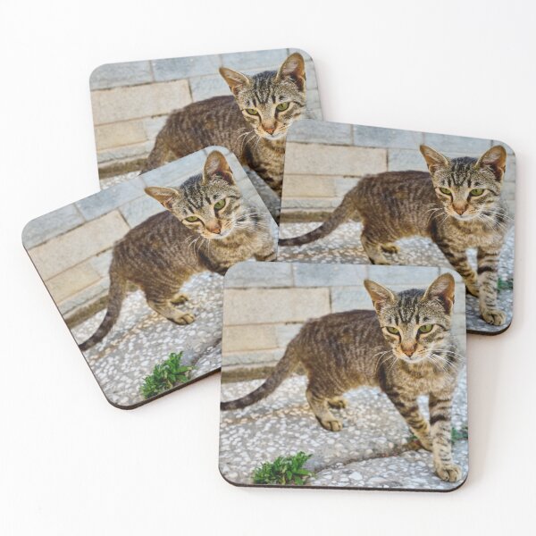 Item preview, Green eyes and stripes cat designed and sold by Jouko Lehto Photography.