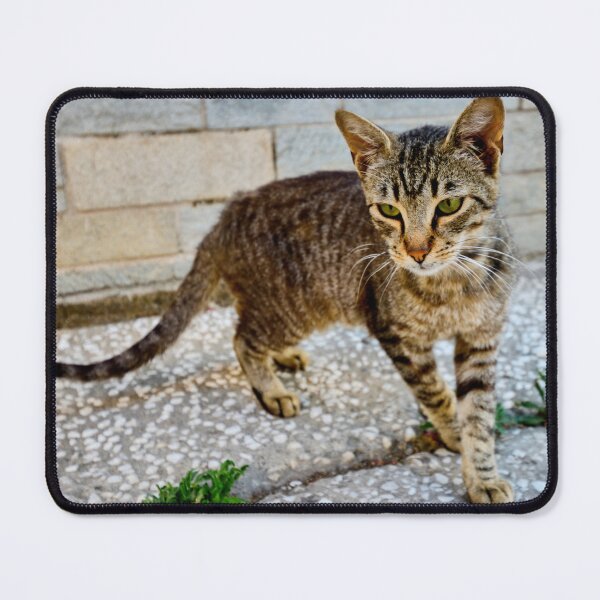 Item preview, Green eyes and stripes cat designed and sold by Jouko Lehto Photography.
