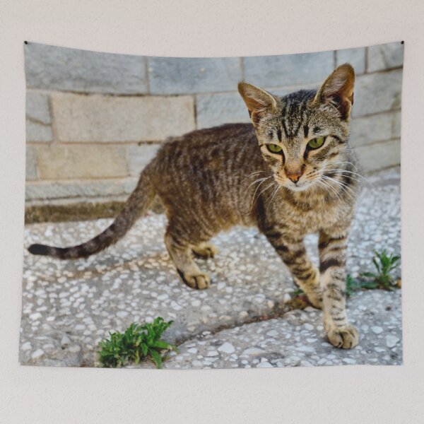 Item preview, Green eyes and stripes cat designed and sold by Jouko Lehto Photography.