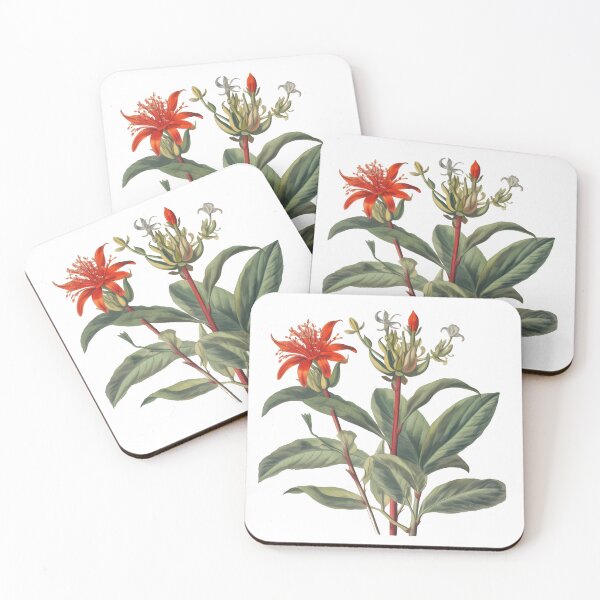 Artikelvorschau, Vintage Blumendruck | Grüne und rote florale botanische Kunst entworfen und verkauft von KanukaPrints.
