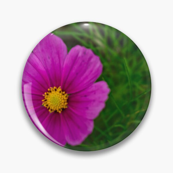 Item preview, Delicate beauty: The pink Cosmea on a green background designed and sold by Patricia Piotrak.