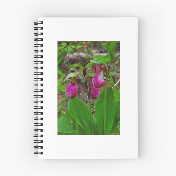 Item preview, Lady Slippers designed and sold by Melissa Glabay.