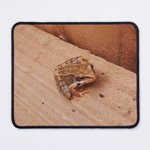 Item preview, Brown Frog designed and sold by SaveUrSoap.