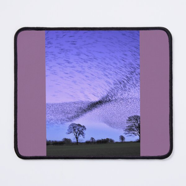 Item preview, Gretna Starlings and the Murmuration Art Print 	 designed and sold by gnapztbh53.