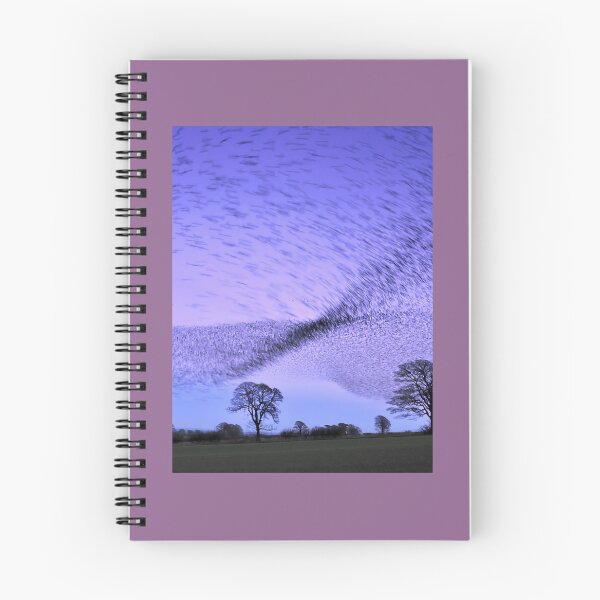 Item preview, Gretna Starlings and the Murmuration Art Print 	 designed and sold by gnapztbh53.