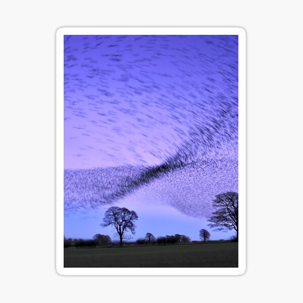 Item preview, Gretna Starlings and the Murmuration Art Print 	 designed and sold by gnapztbh53.