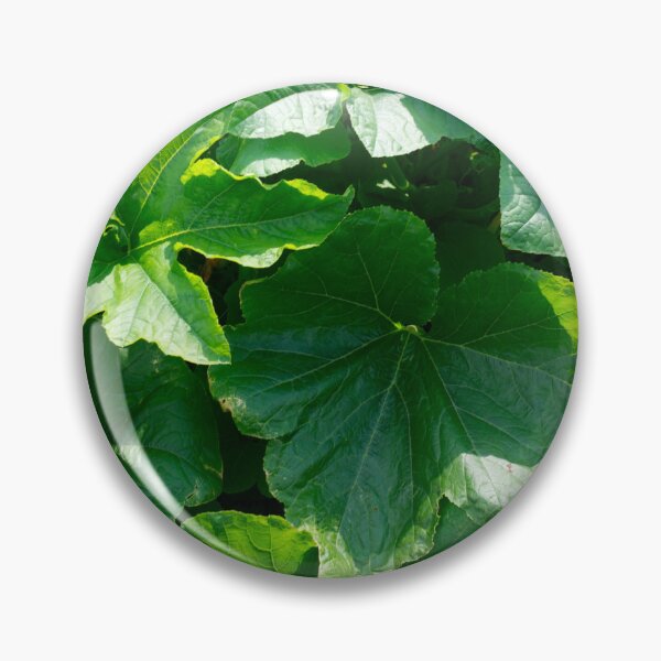 Item preview, Summer sun on pumpkin leaves: An ode to the lush green splendor designed and sold by Patricia Piotrak.