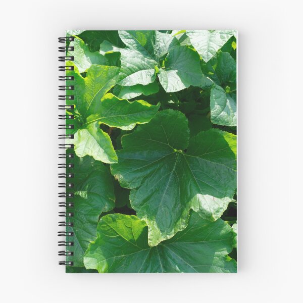 Item preview, Summer sun on pumpkin leaves: An ode to the lush green splendor designed and sold by Patricia Piotrak.