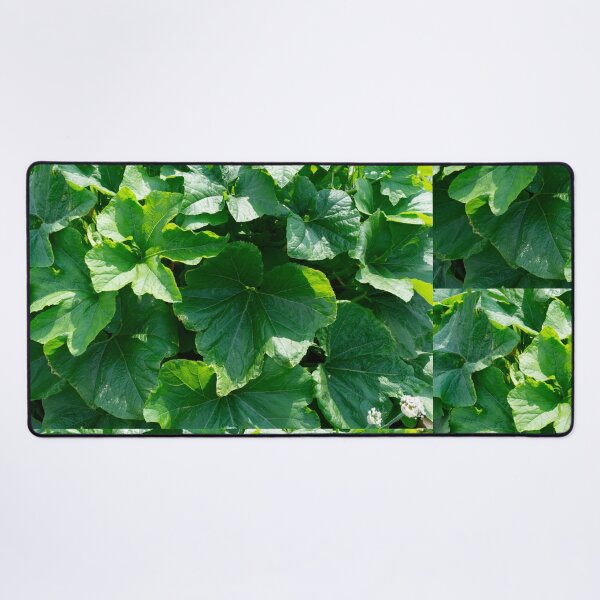 Item preview, Summer sun on pumpkin leaves: An ode to the lush green splendor designed and sold by Patricia Piotrak.