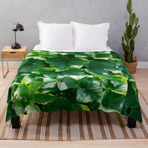 Item preview, Summer sun on pumpkin leaves: An ode to the lush green splendor designed and sold by Patricia Piotrak.