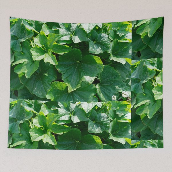 Item preview, Summer sun on pumpkin leaves: An ode to the lush green splendor designed and sold by Patricia Piotrak.