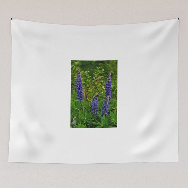 Item preview, Lupins designed and sold by Melissa Glabay.