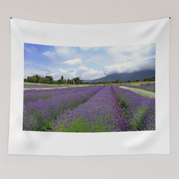 Item preview, Lavander in Umbria designed and sold by annalisa56.