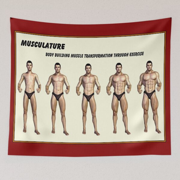 Item preview, MUSCULATURE : Body Building Transformation Print designed and sold by posterbobs.