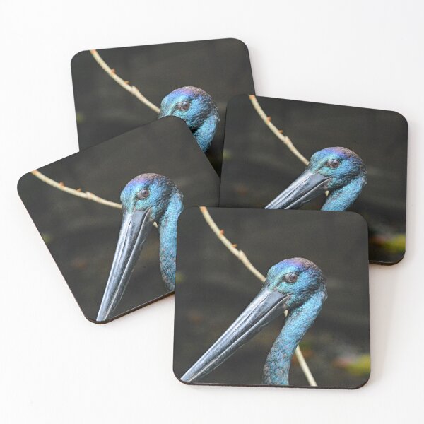 Item preview, Jabiru - Black-necked Stork designed and sold by fnq-photography.