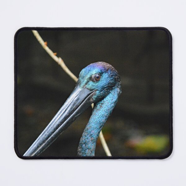 Item preview, Jabiru - Black-necked Stork designed and sold by fnq-photography.