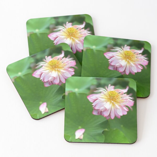 Item preview, A Lotus and Petals, July 2023 designed and sold by Ula Shibazaki.