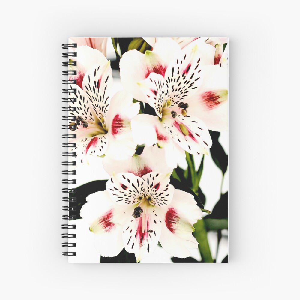 Item preview, Spiral Notebook designed and sold by StudioDestruct.