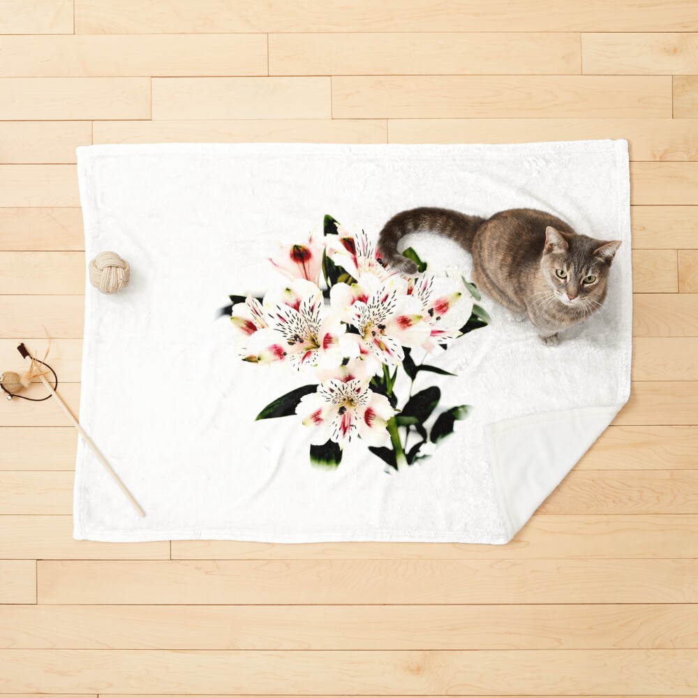 Item preview, Pet Blanket designed and sold by StudioDestruct.
