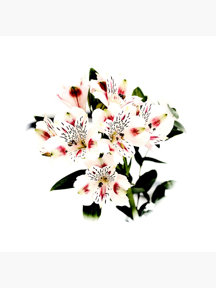 Thumbnail 3 of 3, Sticker, Pale Flowers designed and sold by StudioDestruct.