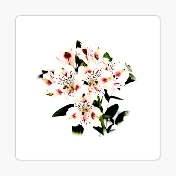 Pale Flowers Sticker