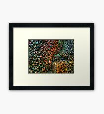 Granite Framed Print