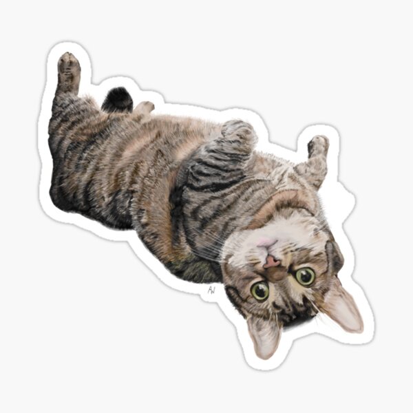Item preview, Fluffy tabby cat belly designed and sold by aurwol.