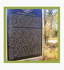 The Big Thicket In SE Texas Photographic Print