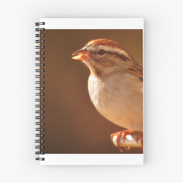 Item preview, Chipping Sparrow designed and sold by Eileen Brymer.