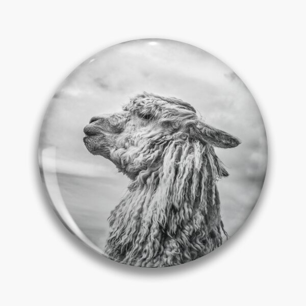 Item preview, Monochrome profile portrait of a Suri alpaca.   designed and sold by bailey-cooper.
