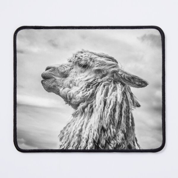 Item preview, Monochrome profile portrait of a Suri alpaca.   designed and sold by bailey-cooper.