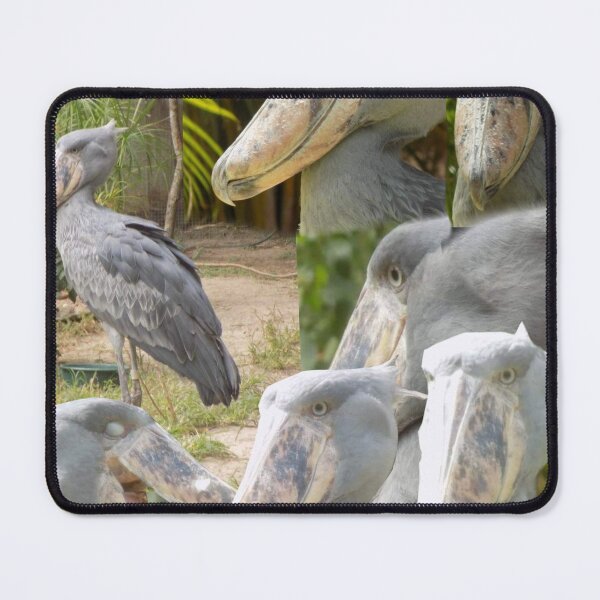 Item preview, Shoebill Collage designed and sold by bonjouritsjay.