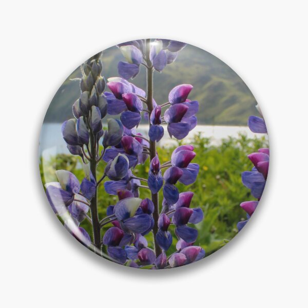Item preview, Lupines in the Sun designed and sold by Amy Dandridge.