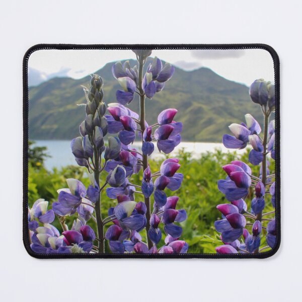 Item preview, Lupines in the Sun designed and sold by Amy Dandridge.