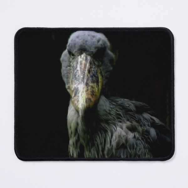 Item preview, Shoebill designed and sold by bonjouritsjay.