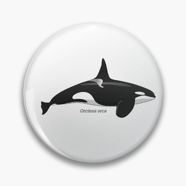 Item preview, Orcinus - Orca designed and sold by Wittylot.