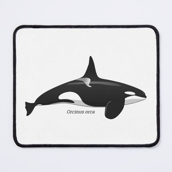 Item preview, Orcinus - Orca designed and sold by Wittylot.