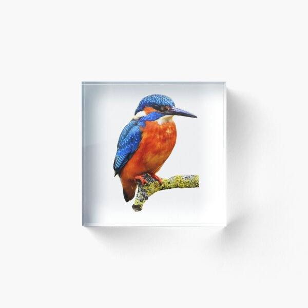 Item preview, Kingfisher Colorful Artistry designed and sold by Kkoriginal.