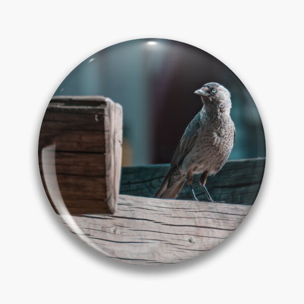 Item preview, Jackdaw designed and sold by Strifey7.