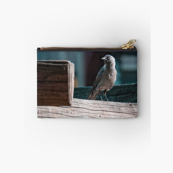 Item preview, Jackdaw designed and sold by Strifey7.