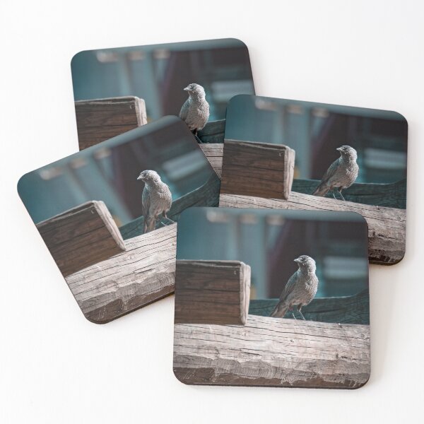 Item preview, Jackdaw designed and sold by Strifey7.