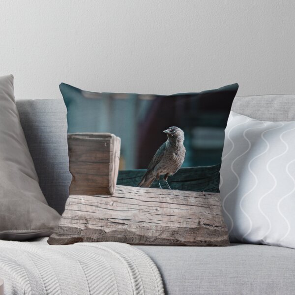 Item preview, Jackdaw designed and sold by Strifey7.